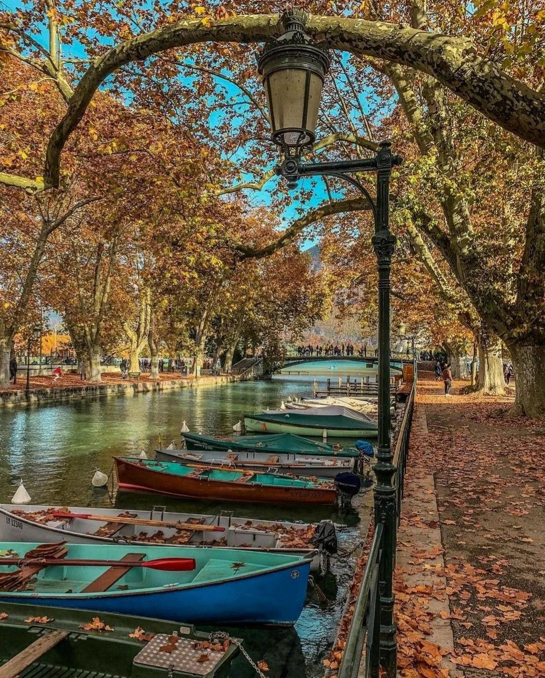 Annecy & Geneva, the Alps