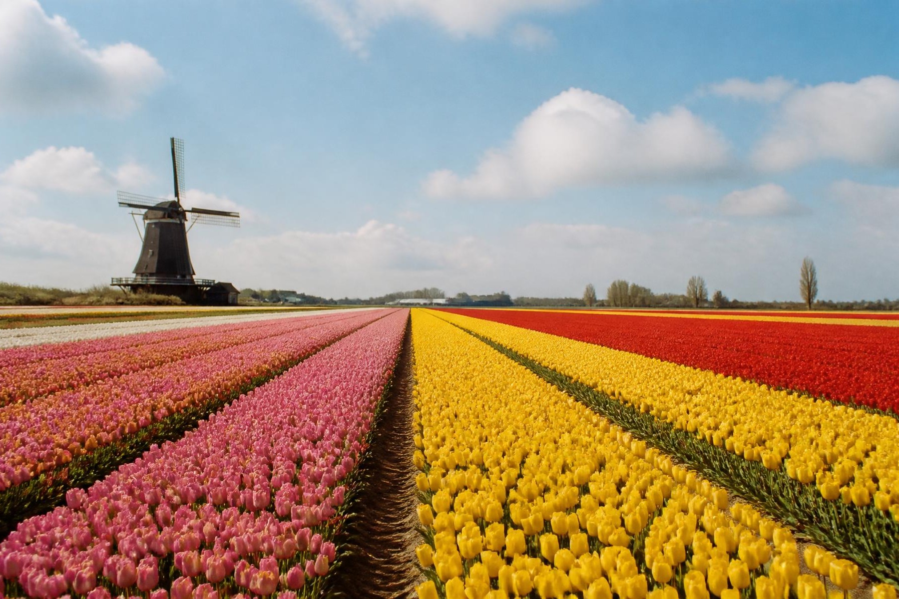 The Netherlands